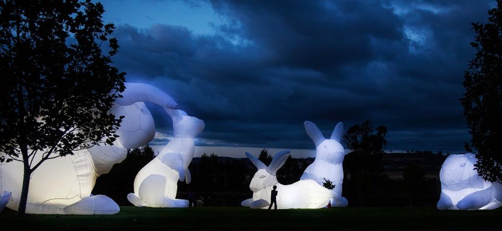 rabbit art