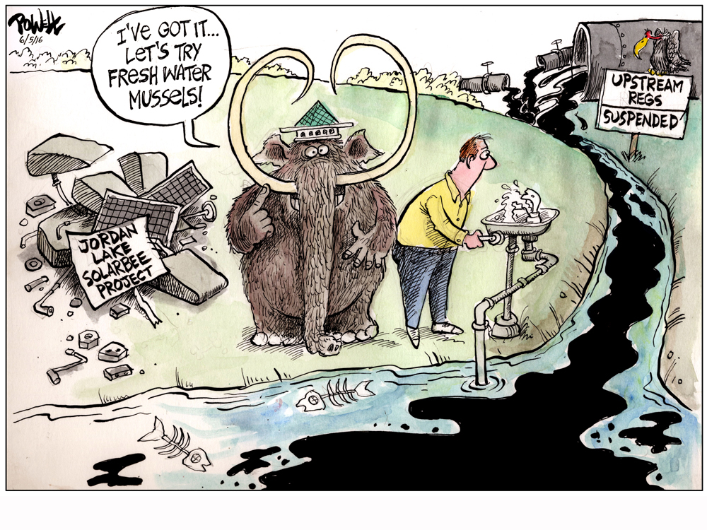 cartoon