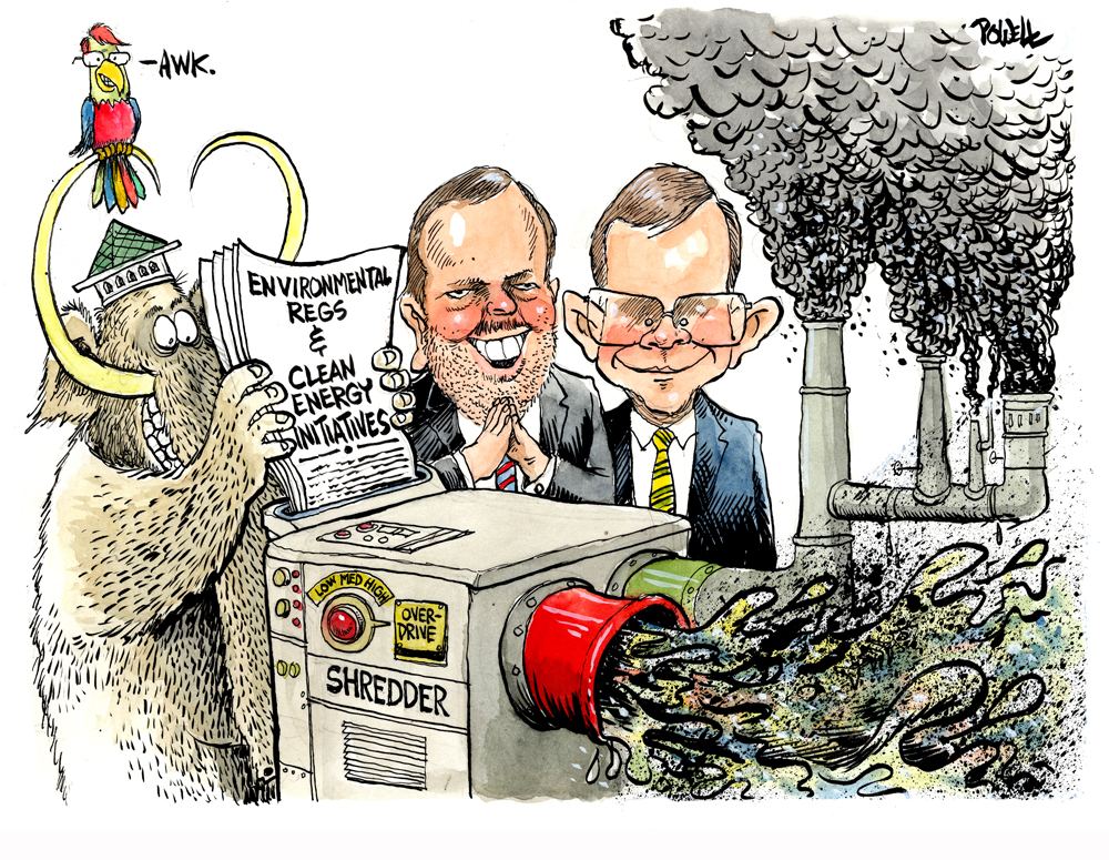 cartoon